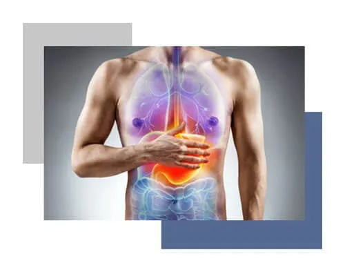 How Does digestistart Works?